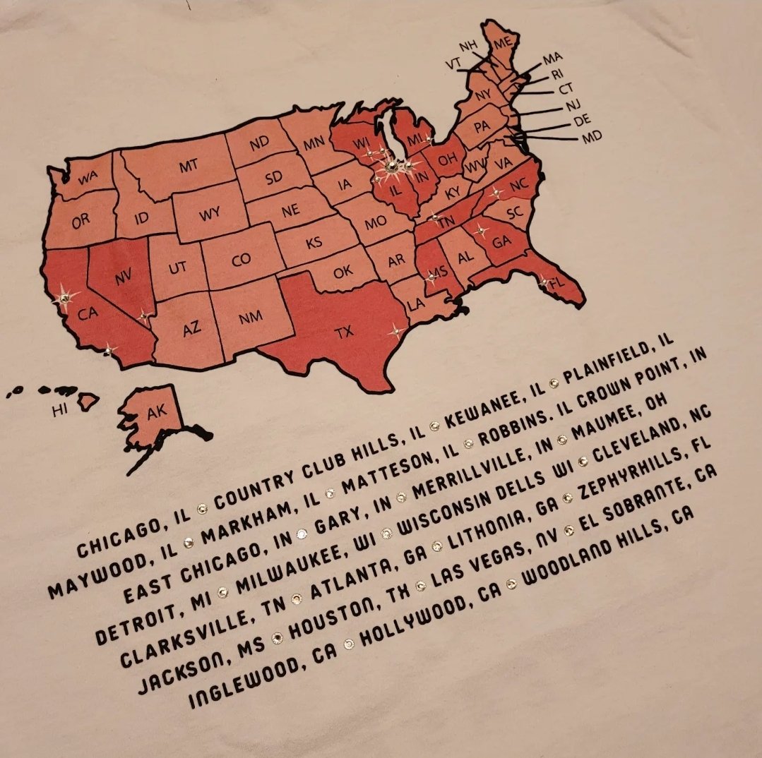 We Move Birds tee(white)