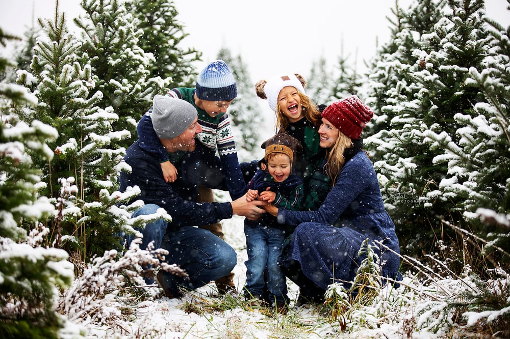 Image of Outdoor Christmas Pine Tree Bed Mini Sessions