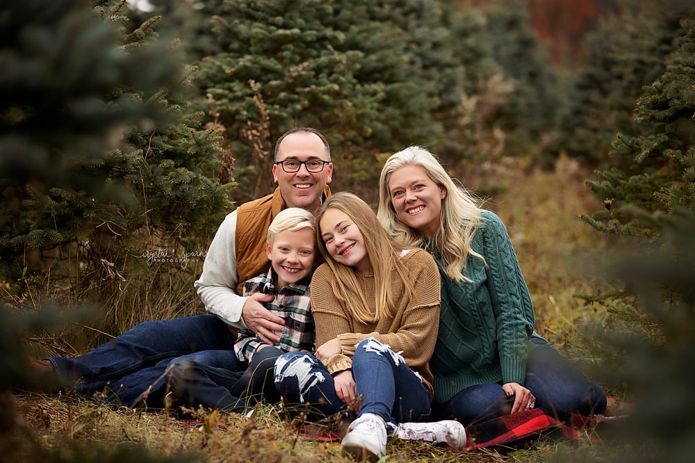 Image of Outdoor Christmas Pine Tree Bed Mini Sessions