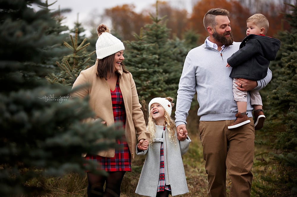 Image of Outdoor Christmas Pine Tree Bed Mini Sessions