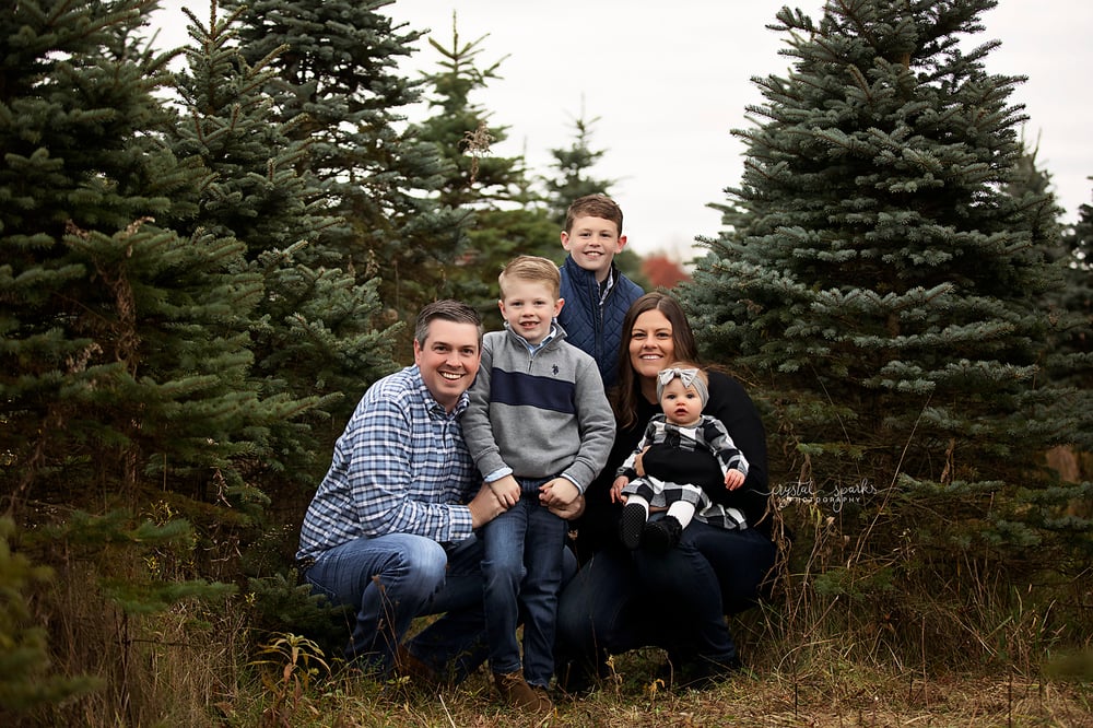 Image of Outdoor Christmas Pine Tree Bed Mini Sessions