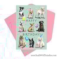 Image 1 of Happy Birthday From the Dogs 