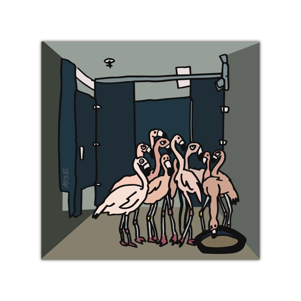 Image of HURRICANE FLAMINGOS