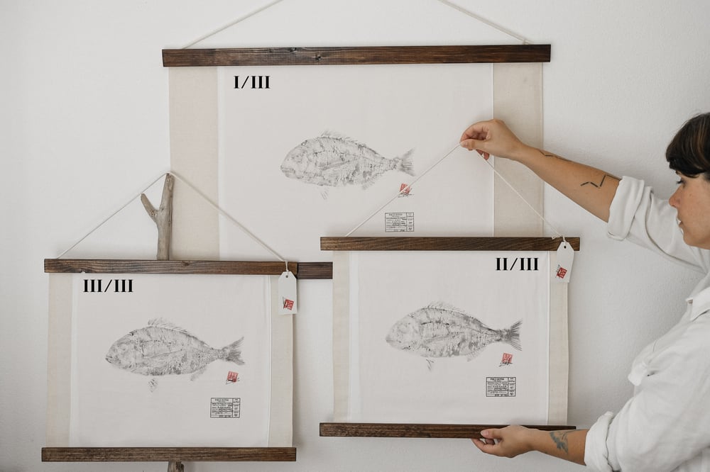 Image of Dourada | G. Seabream