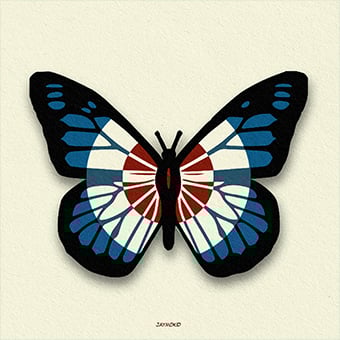 Image of Butterfly Collector