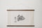 Image of Peixe-porco | Triggerfish