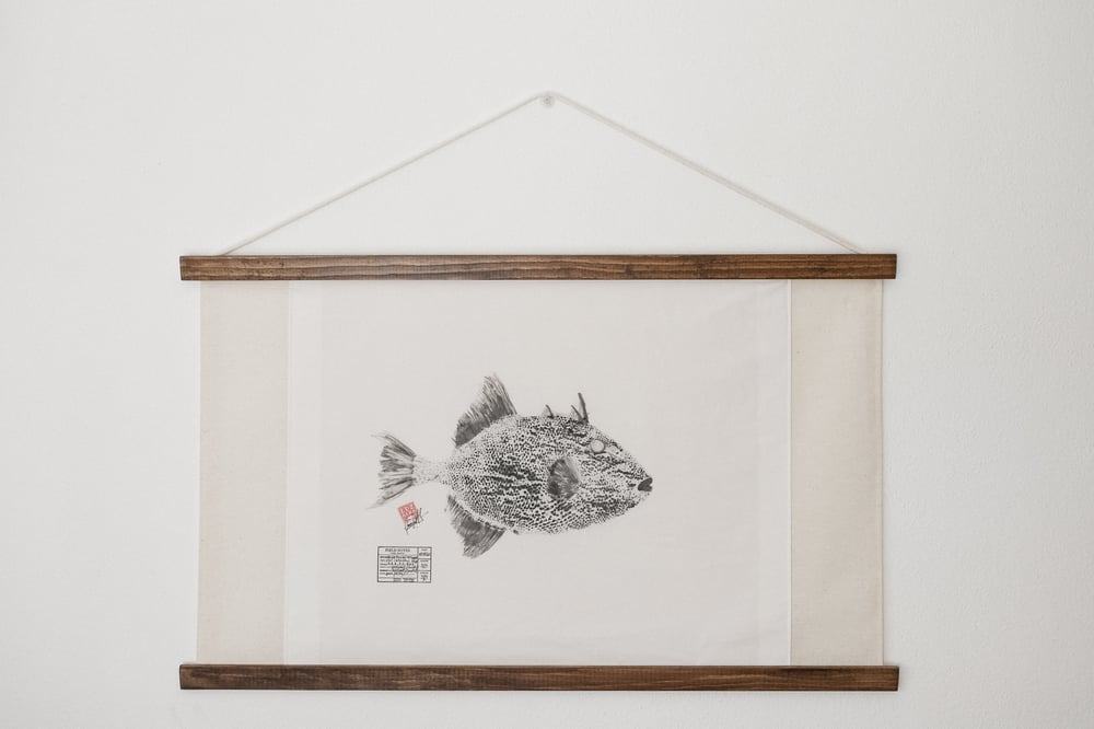 Image of Peixe porco | Trigger fish 