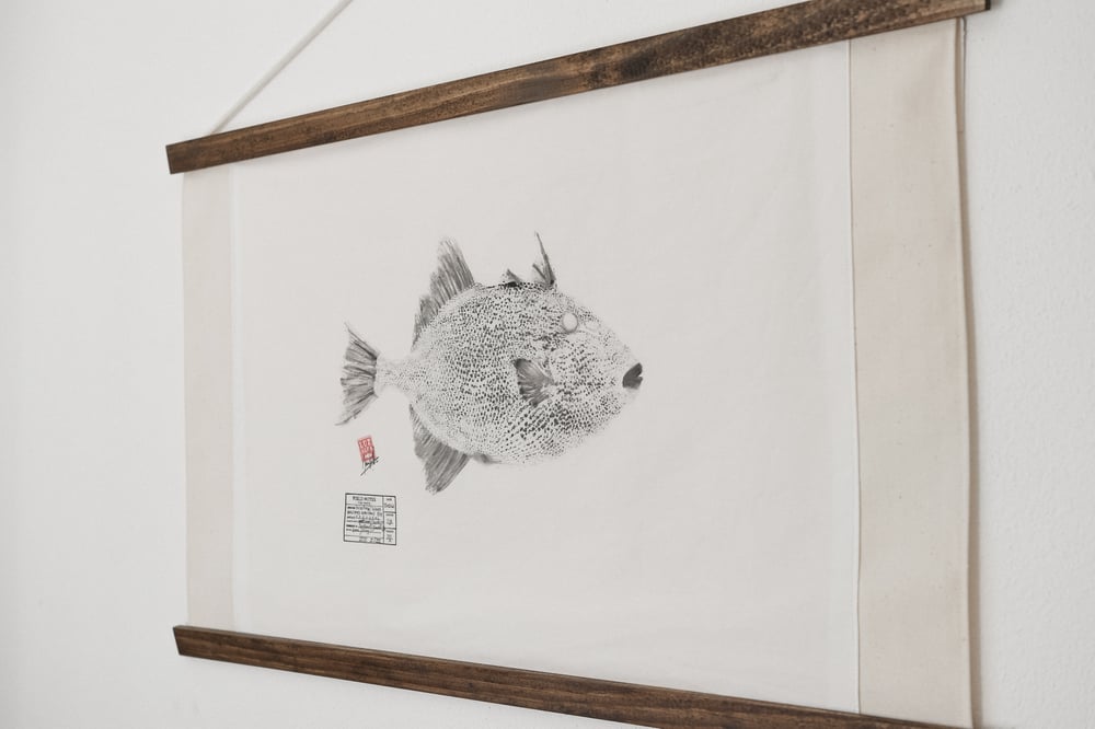 Image of Peixe porco | Trigger fish 