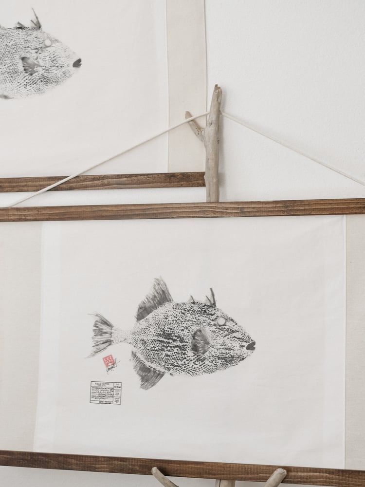 Image of Peixe porco | Trigger fish 