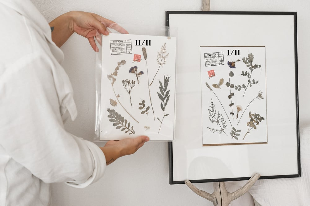 Image of Herbarium | originals