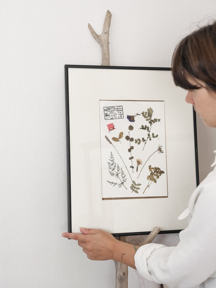 Image of Herbarium | originals