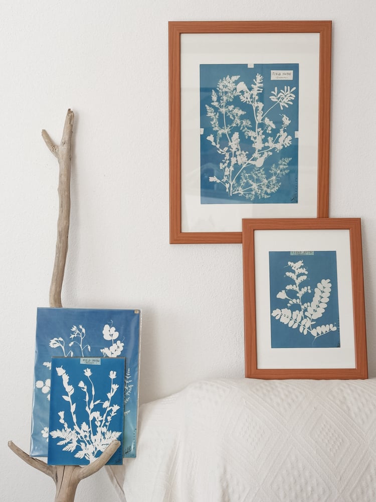 Image of Cyanotype | originals