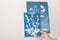 Image of Cyanotype | originals