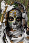 Calavera 37 - The Bee Stewardess