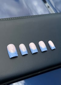 French Tip Croc Print