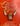 Joe Cool Montana