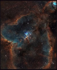 Melotte 15 (The Heart of The Heart  Nebula ) 