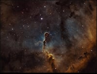 The Elephant Trunk Nebula (SHO)