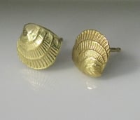 Image 2 of Cross Barred Venus 18k Gold Seashell Earrings