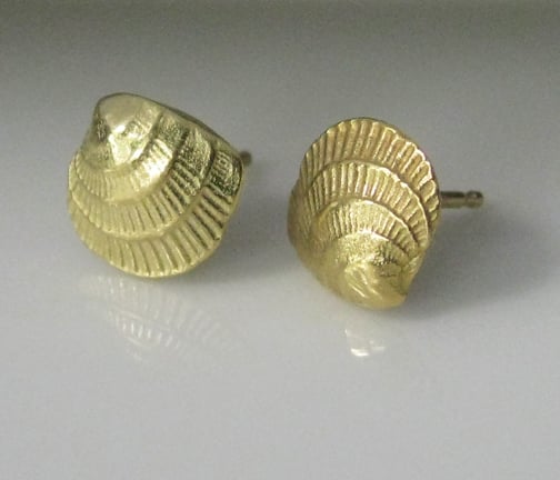 Image of Cross Barred Venus 18k Gold Seashell Earrings