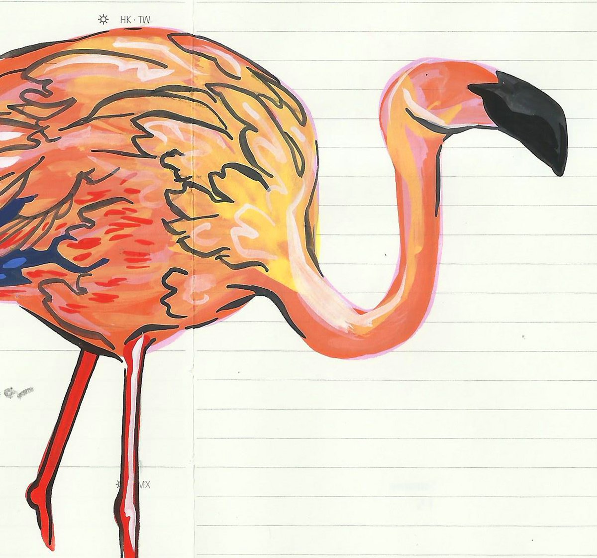 Image of Lesser Flamingo VI