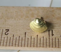 Image 3 of Cross Barred Venus 18k Gold Seashell Earrings