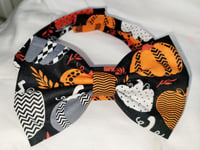 Image 1 of Pumkin bowtie collar 