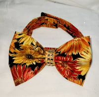 Image 1 of Fall Flowers Bowtie/Collar 🍁🎀