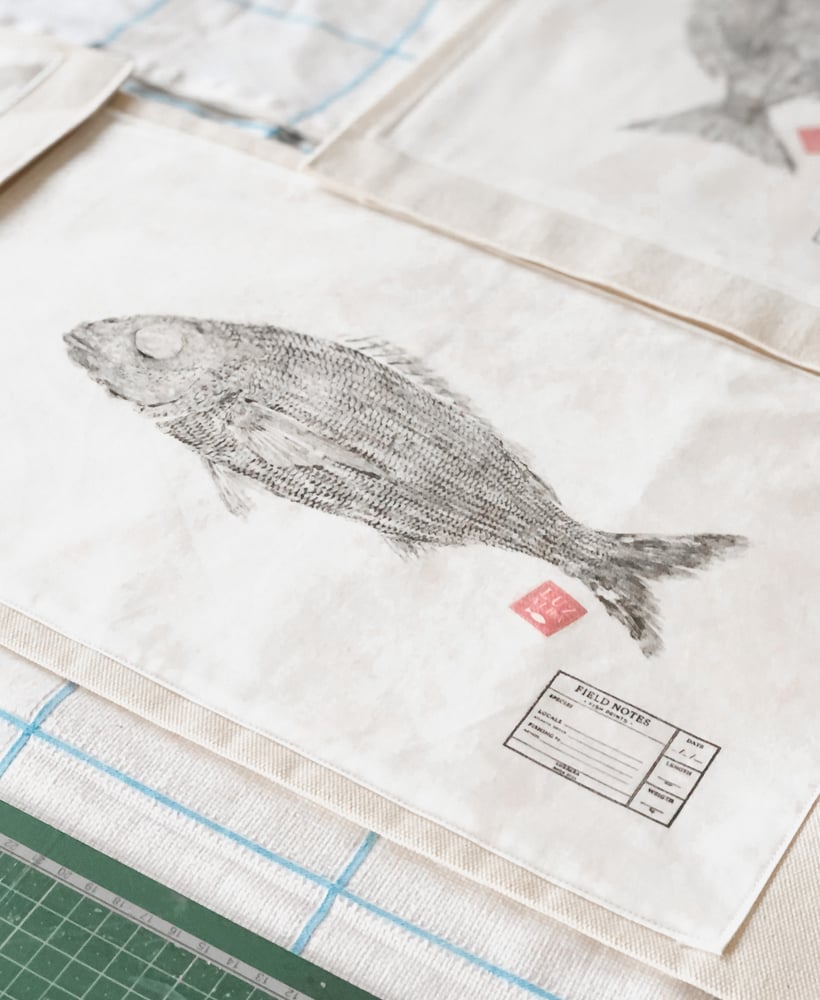 Image of FISH PRINT | Pre-Order