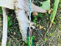 Image 3 of Snakebite Kukri