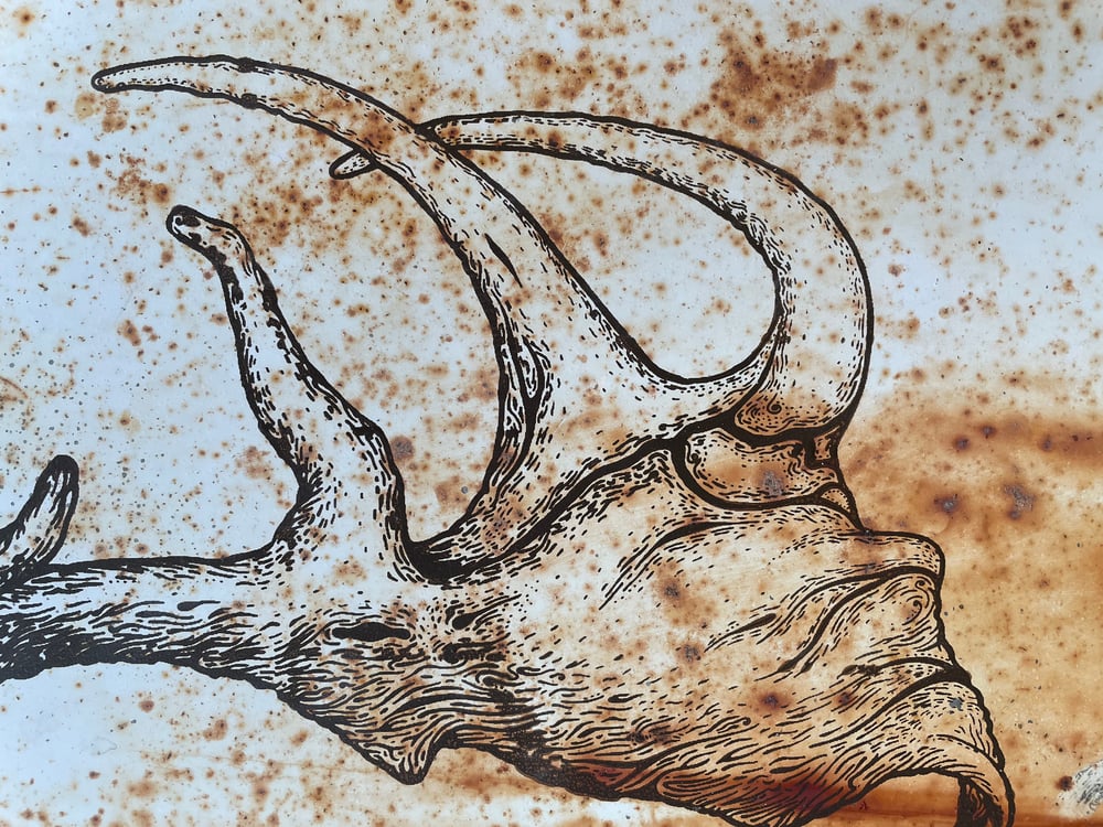 Image of Megaloceros on Reclaimed Metal