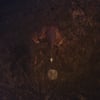 BongBongBeerWizards - Ampire - 12" 