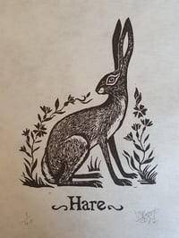 Image 2 of Hare