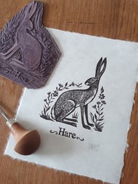 Image 3 of Hare