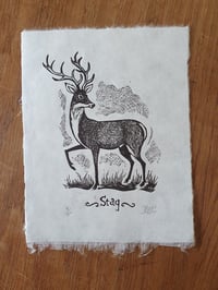 Image 1 of Stag