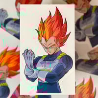 SSG Veg.