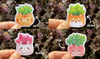 Succulents Stickers