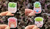 Succulents Stickers