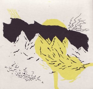 Image of Goodbye Debris CDep