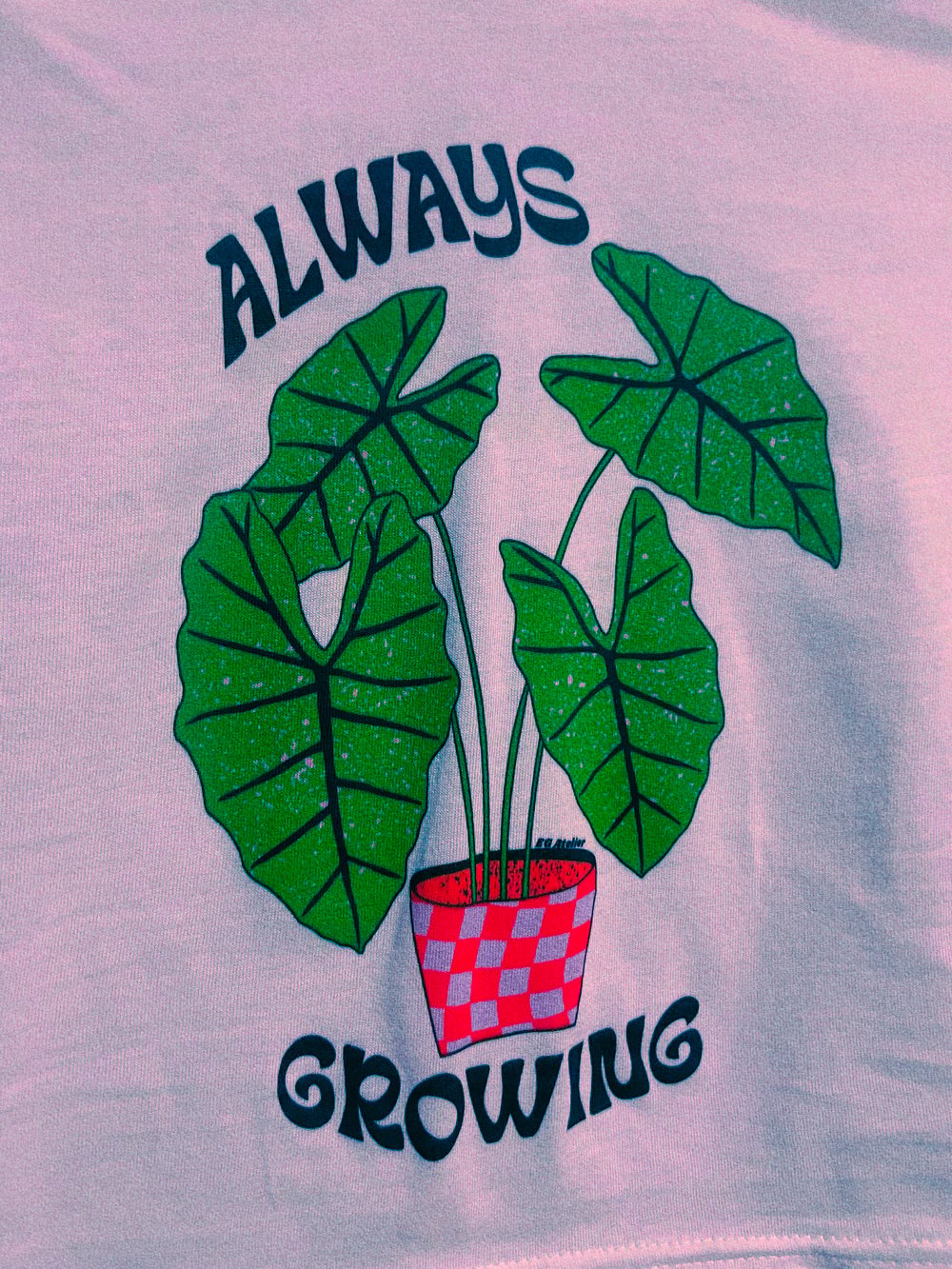 Image of Always Growing crop top