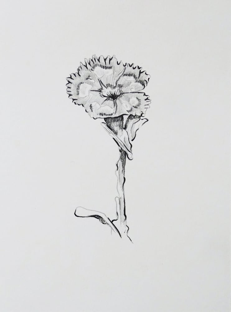 Image of Flower