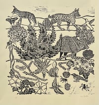 Desert Life print