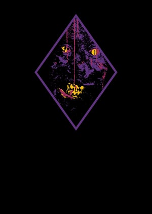 Image of Purani Haveli (The Old Mansion) Tee shirt (Pre-orders only)