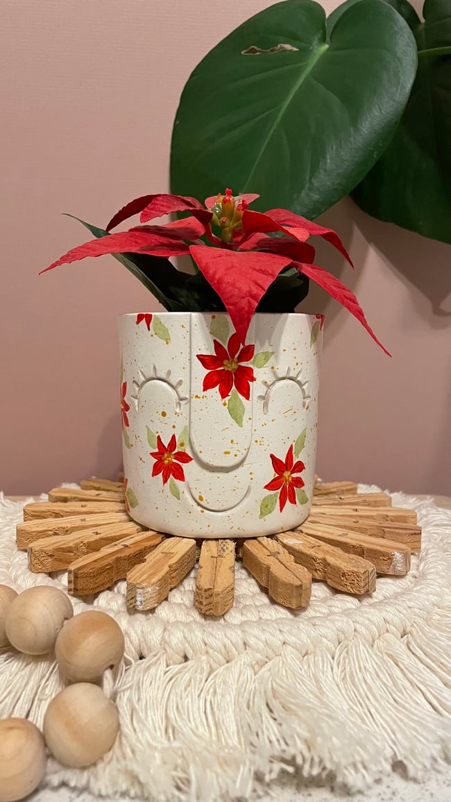 Poinsettia Pot