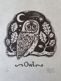 Image 2 of Owl