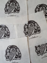 Image 3 of Owl