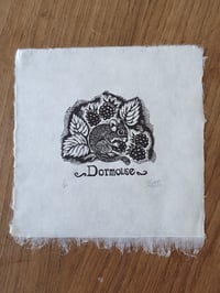 Image 1 of Dormouse