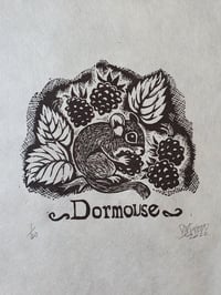 Image 2 of Dormouse