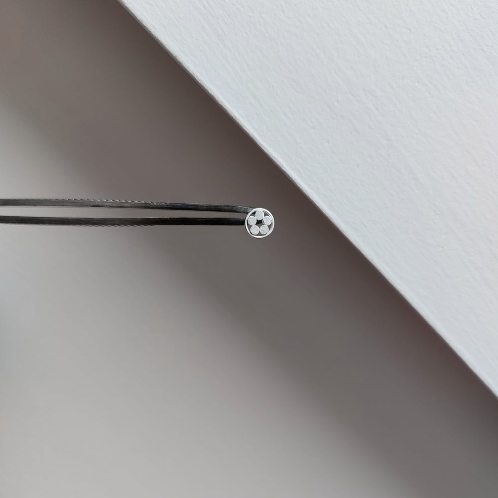 Image of Starflower Frame earstuds 