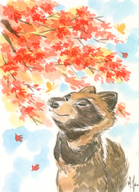 Image 1 of Maple Wishes - Raccoon Dog 1/1 original painting